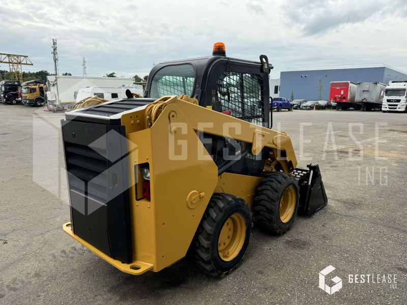 Caterpillar 236D - شيول صغير: صور 3 Caterpillar 236D - شيول صغير: صور 3