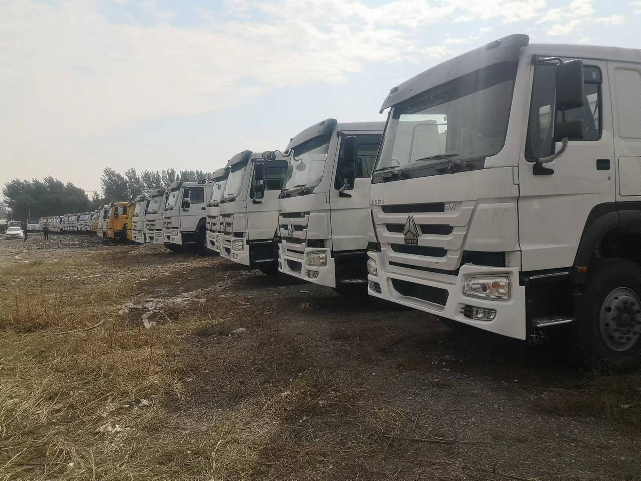 SINOTRUK HOWO WITH FENCE LIVESTOCK DUMP TRUCK - قلابات: صور 1 SINOTRUK HOWO WITH FENCE LIVESTOCK DUMP TRUCK - قلابات: صور 1