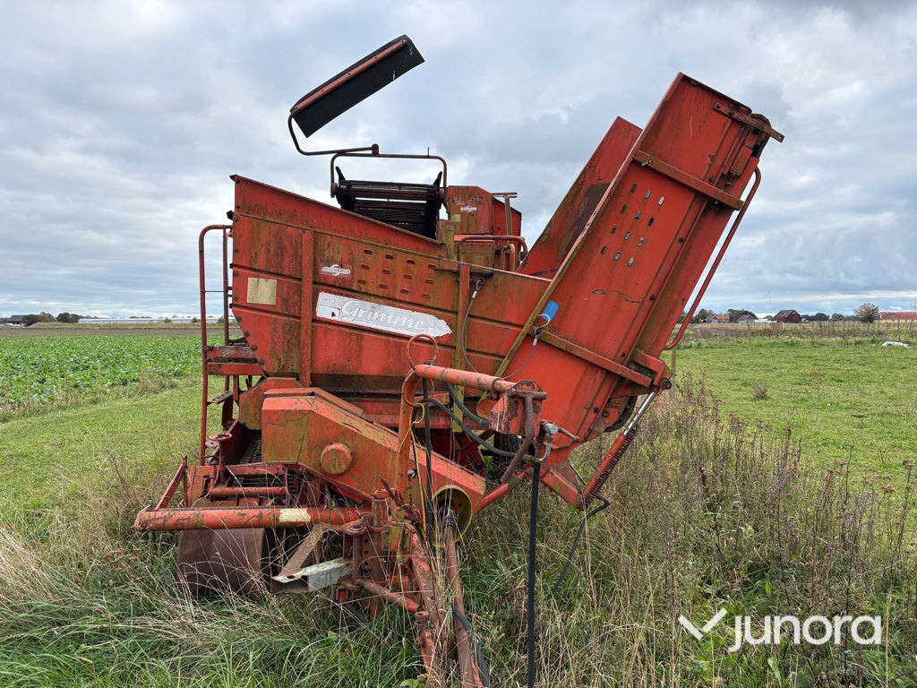 Potatisupptagare Grimme LK650 - حصادة البطاطس: صور 2 Potatisupptagare Grimme LK650 - حصادة البطاطس: صور 2
