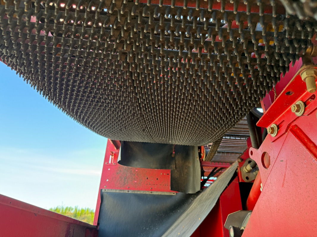 حصادة البطاطس GRIMME SE-150-60-NB: صور 10