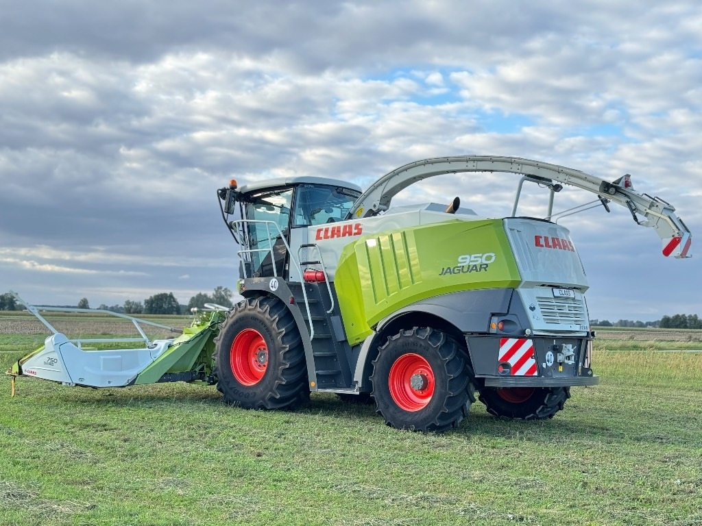 حصادة الأعلاف Claas Jaguar 950 Allrad + Claas Orbis 750: صور 8