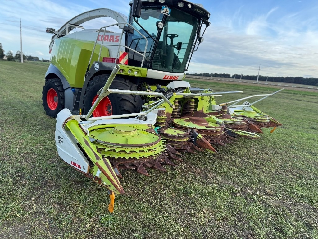 حصادة الأعلاف Claas Jaguar 950 Allrad + Claas Orbis 750: صور 11