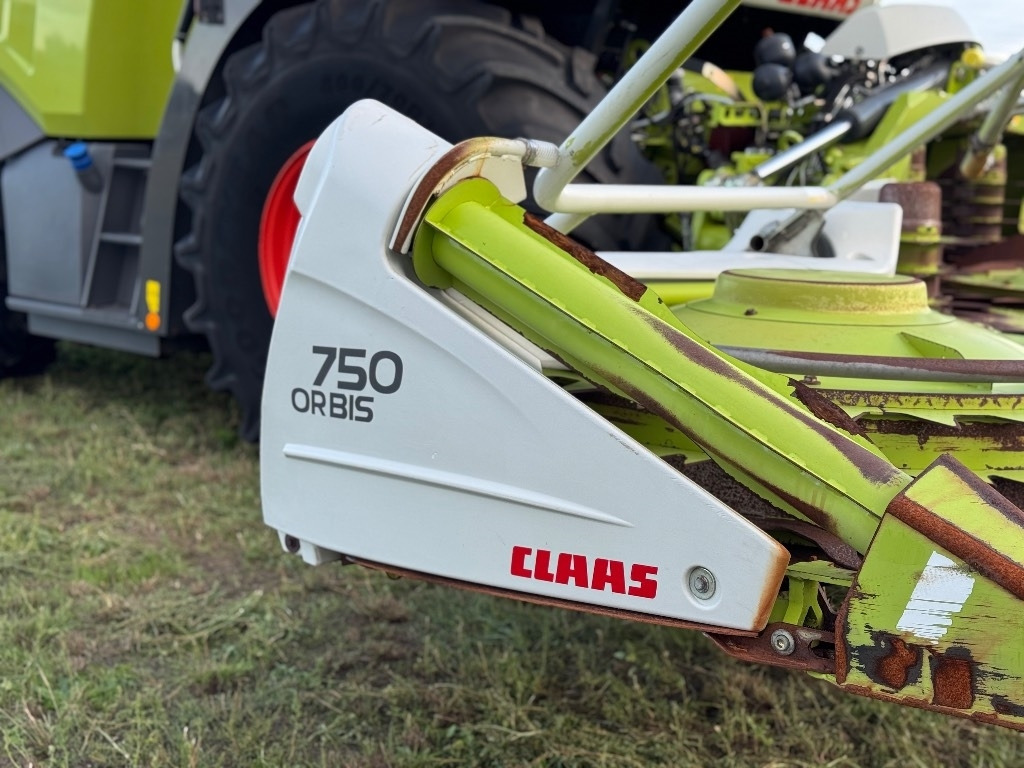 حصادة الأعلاف Claas Jaguar 950 Allrad + Claas Orbis 750: صور 12