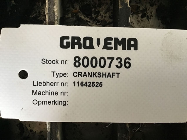Liebherr Crankshaft - العمود المرفقي: صور 2 Liebherr Crankshaft - العمود المرفقي: صور 2
