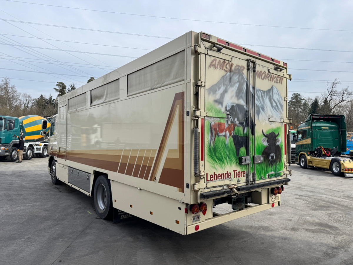 شاحنة نقل المواشي شاحنة DAF CF410 4x2: صور 7