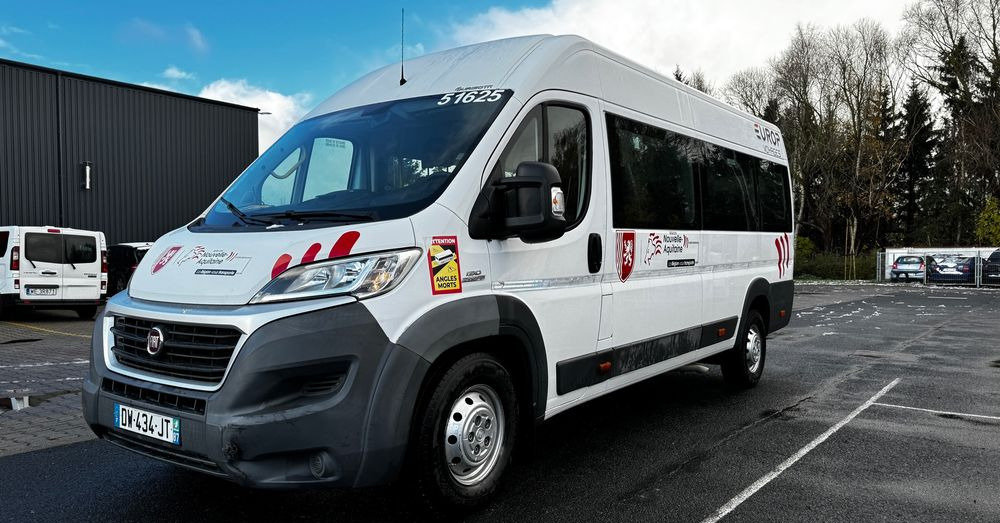 Fiat Ducato / 17 miejsc / EURO 6/ IGŁA !!!/ Cena:75000 zł netto - حافلة صغيرة, ميكروباص: صور 1 Fiat Ducato / 17 miejsc / EURO 6/ IGŁA !!!/ Cena:75000 zł netto - حافلة صغيرة, ميكروباص: صور 1