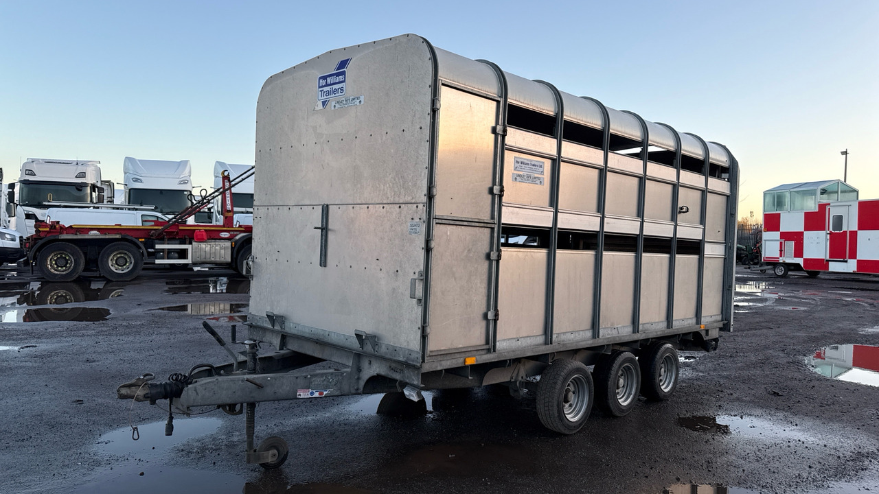 IFOR WILLIAMS DP120S3-4 - شاحنة نقل المواشي مقطورة: صور 3 IFOR WILLIAMS DP120S3-4 - شاحنة نقل المواشي مقطورة: صور 3