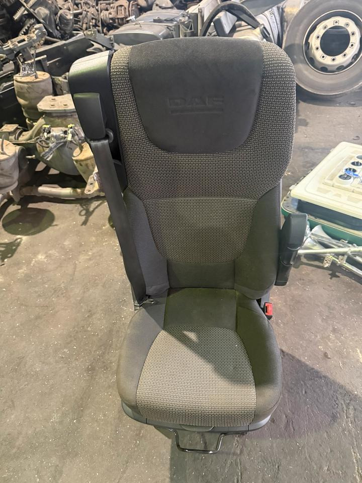 DAF XF 460 Euro6 Beifahrersitz - مقاعد السيارات - شاحنة: صور 1 DAF XF 460 Euro6 Beifahrersitz - مقاعد السيارات - شاحنة: صور 1