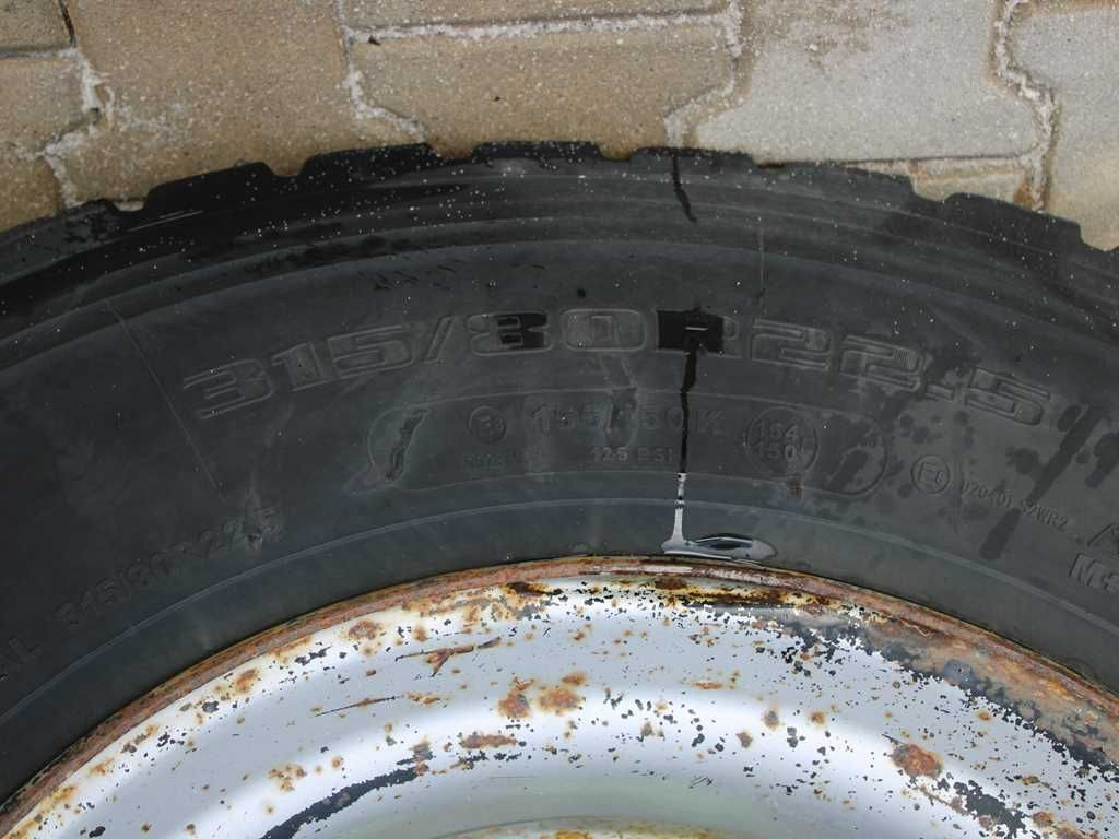شاحنة كرين Scania R490, 6X4, EURO 6, PALFINGER EPSILON M13Z91: صور 17