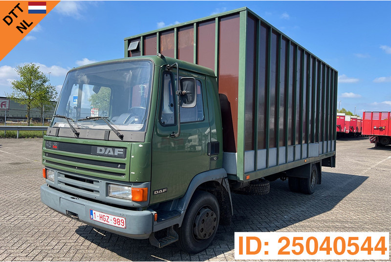 DAF 45.160 - شاحنة نقل خيل: صور 1 DAF 45.160 - شاحنة نقل خيل: صور 1