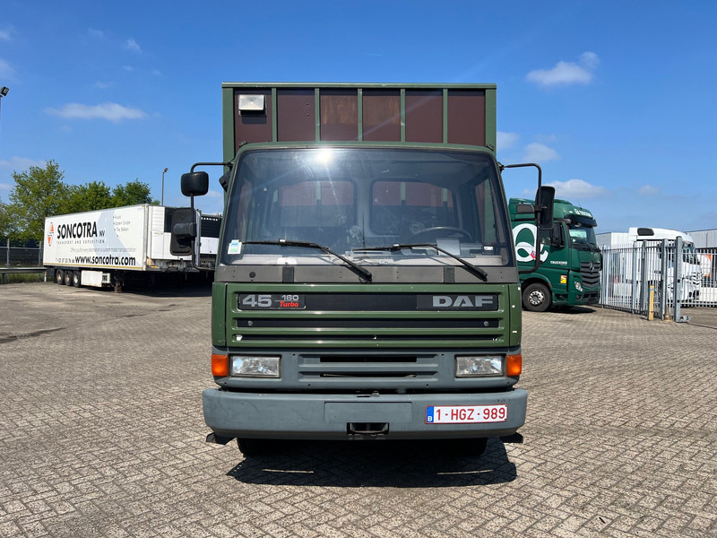 DAF 45.160 - شاحنة نقل خيل: صور 2 DAF 45.160 - شاحنة نقل خيل: صور 2