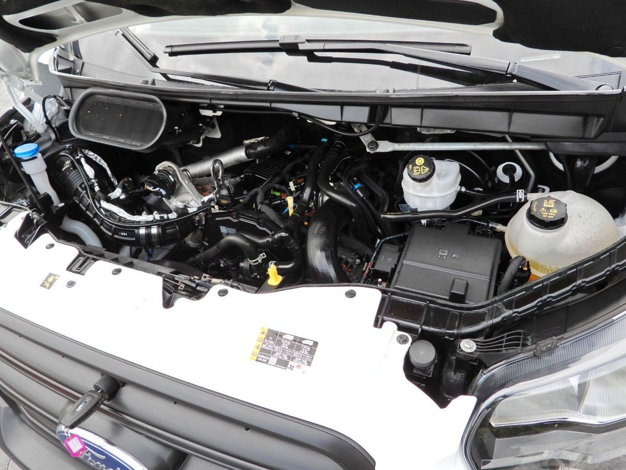 فان Ford TRANSIT  KASTENWAGEN TEMPOMAT KLIMAANLAGE 130PS: صور 20