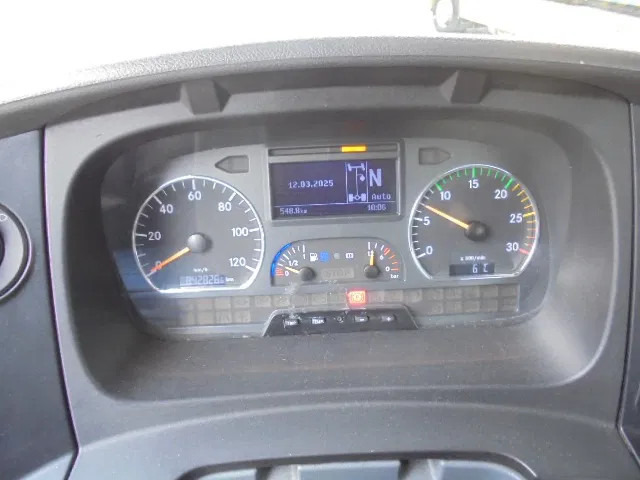 سيارة السحب للتصليح Mercedes-Benz Atego 1224 NL TRUCK: صور 19