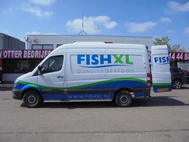 الشاحنات الصغيرة المبردة Mercedes-Benz Sprinter 313 FRIGO NL TRUCK: صور 20