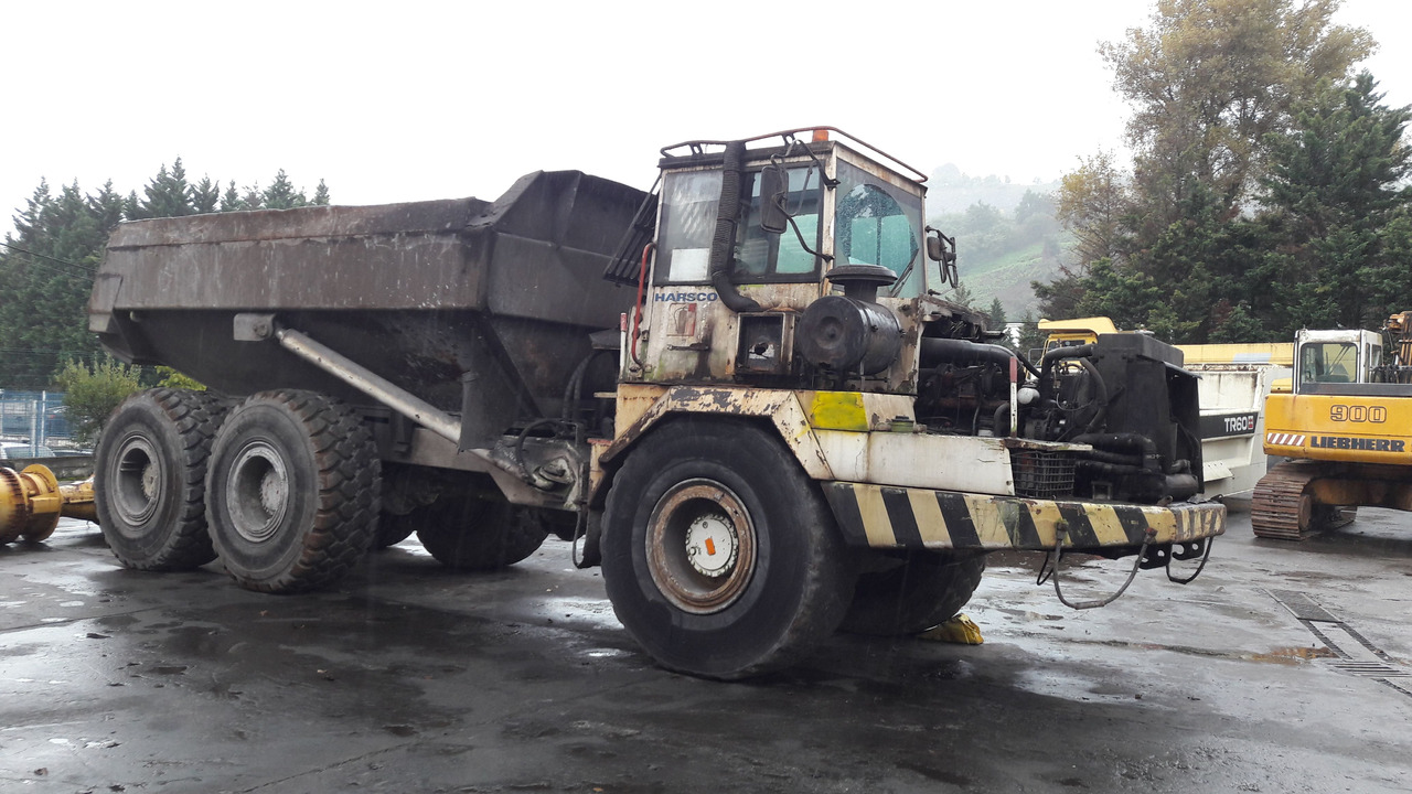 TEREX TA25 N/S: A7581087 - شاحنة مفصلية: صور 3 TEREX TA25 N/S: A7581087 - شاحنة مفصلية: صور 3