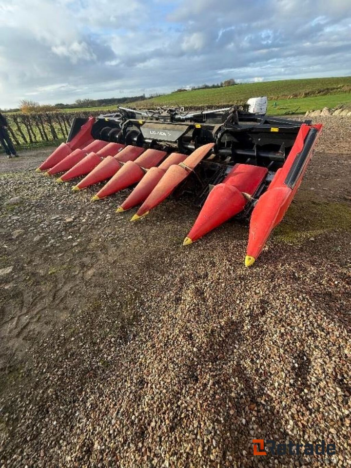 Geringhoff Majsskærebord 8Rk. / Corn Heads - الآلات والماكينات الزراعية: صور 3 Geringhoff Majsskærebord 8Rk. / Corn Heads - الآلات والماكينات الزراعية: صور 3