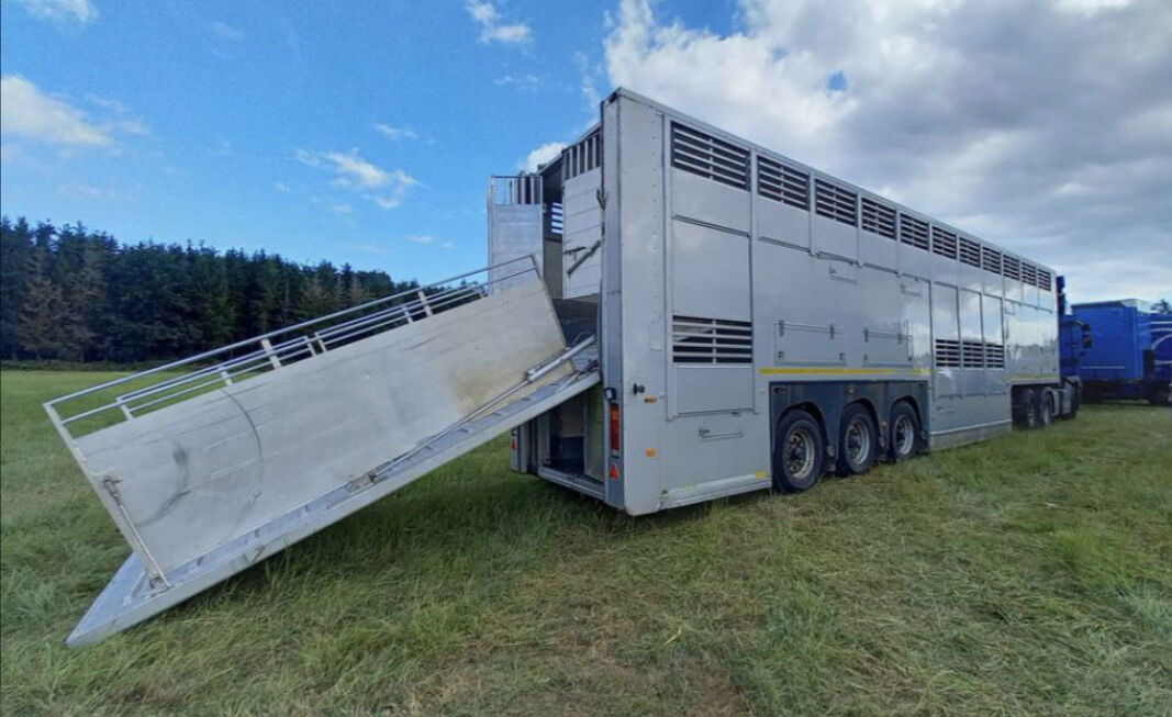 Gray and Adams Gadd3 / Works Great / Hydraulic / 2 Levels - شاحنة نقل المواشي نصف مقطورة: صور 2 Gray and Adams Gadd3 / Works Great / Hydraulic / 2 Levels - شاحنة نقل المواشي نصف مقطورة: صور 2