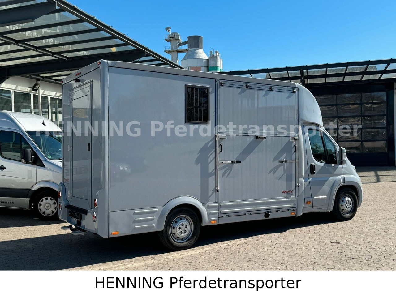 Citroën Jumper 3 - Sitzer - شاحنة نقل خيل: صور 3 Citroën Jumper 3 - Sitzer - شاحنة نقل خيل: صور 3