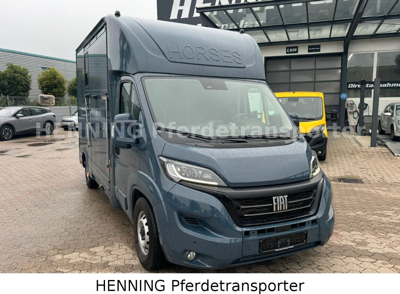 Fiat Ducato *AUTOMATIK* 3 - Sitzer - شاحنة نقل المواشي شاحنة: صور 2 Fiat Ducato *AUTOMATIK* 3 - Sitzer - شاحنة نقل المواشي شاحنة: صور 2