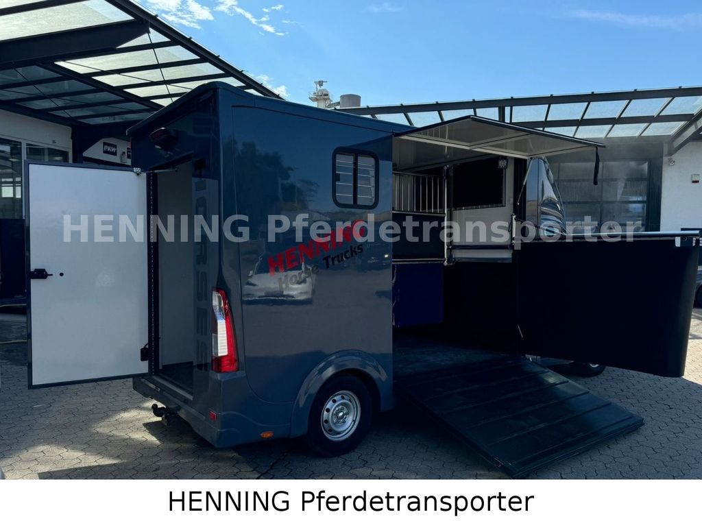 Opel Movano 3 - Sitzer *AUFBAU NEU* Opel Movano 3 - Sitzer *AUFBAU NEU* - شاحنة نقل خيل: صور 3 Opel Movano 3 - Sitzer *AUFBAU NEU* Opel Movano 3 - Sitzer *AUFBAU NEU* - شاحنة نقل خيل: صور 3