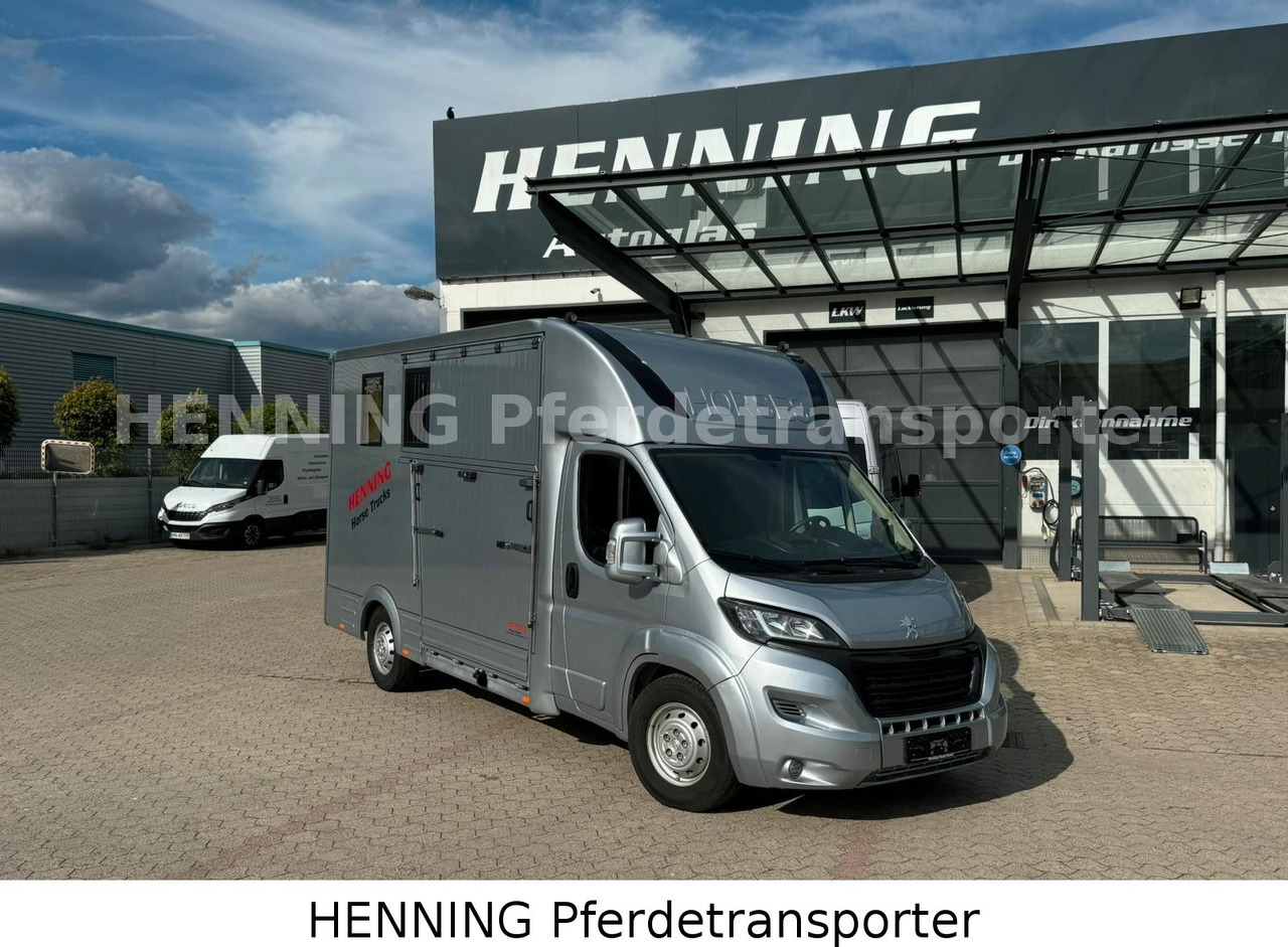 Peugeot Boxer 3 - Sitzer - شاحنة نقل المواشي شاحنة: صور 1 Peugeot Boxer 3 - Sitzer - شاحنة نقل المواشي شاحنة: صور 1