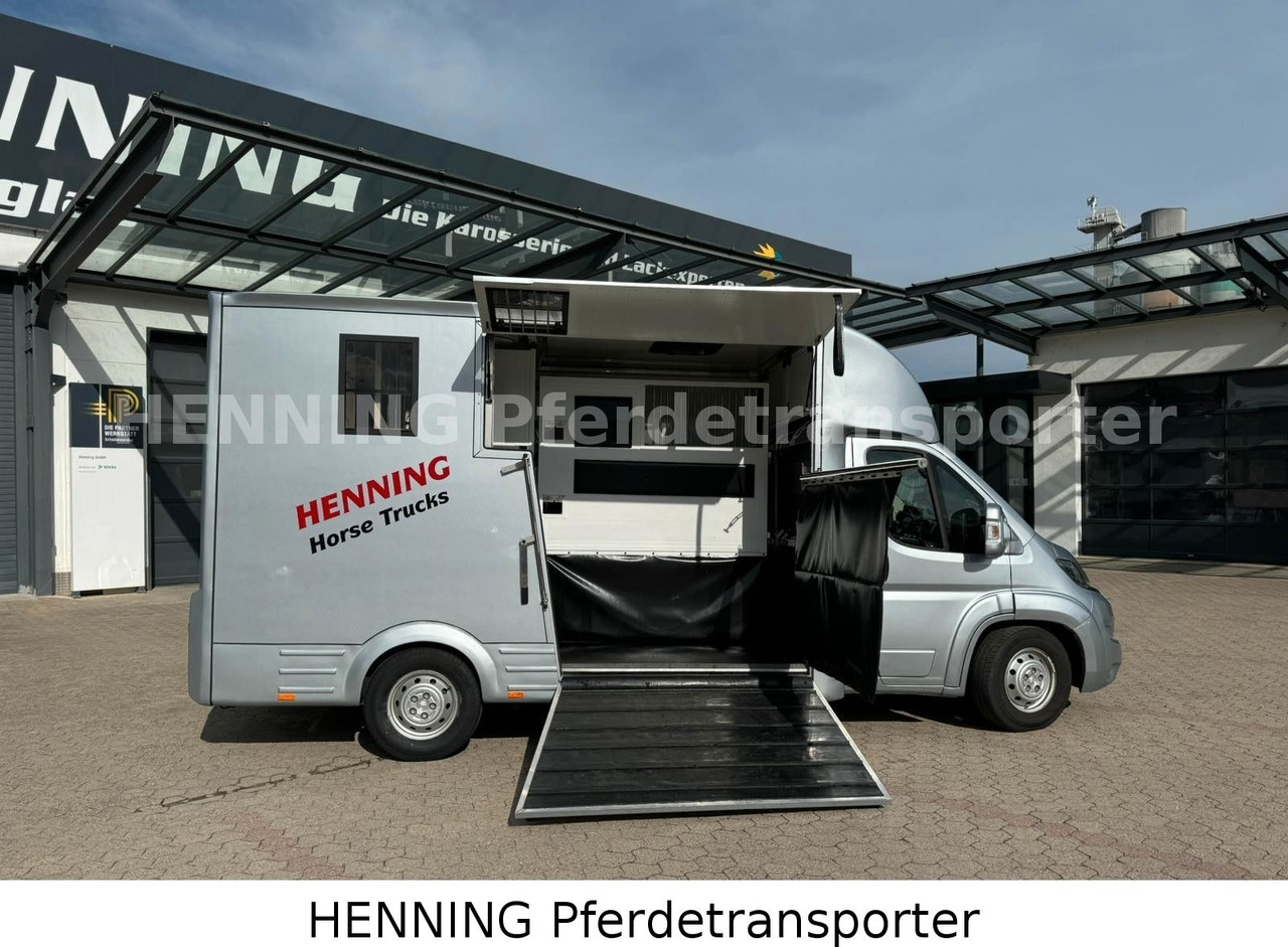 Peugeot Boxer 3 - Sitzer - شاحنة نقل المواشي شاحنة: صور 3 Peugeot Boxer 3 - Sitzer - شاحنة نقل المواشي شاحنة: صور 3