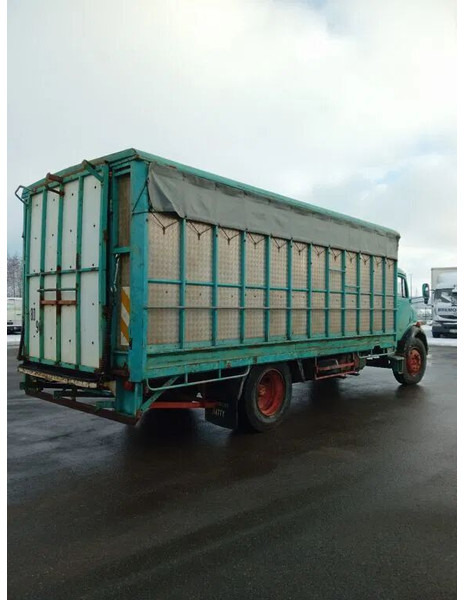 Mercedes-Benz 1113 - بصندوق مغلق شاحنة: صور 5 Mercedes-Benz 1113 - بصندوق مغلق شاحنة: صور 5