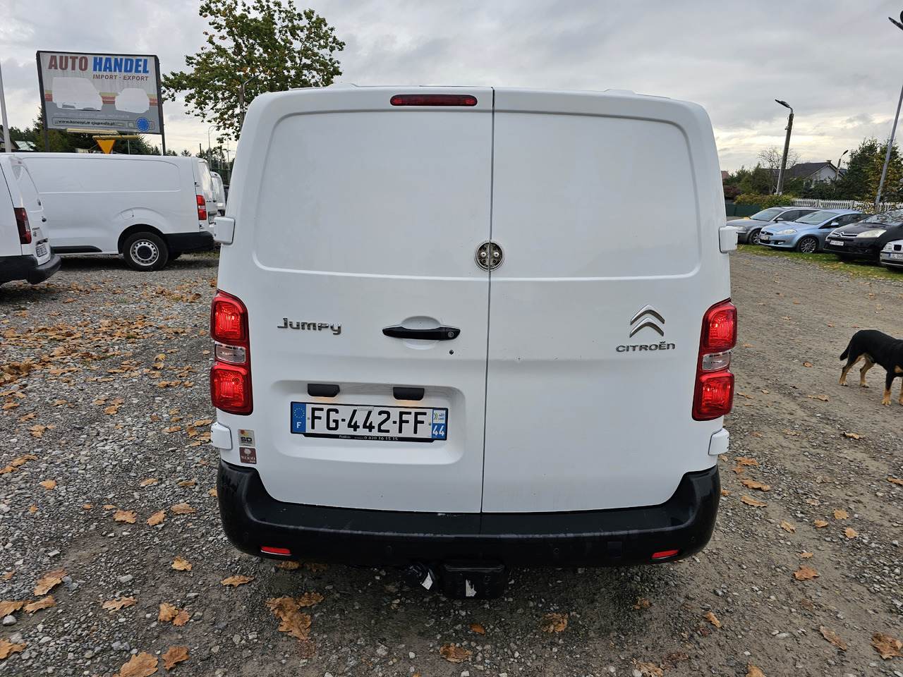 الشاحنات الصغيرة المبردة Citroen JUMPY CHLODNIA MROZNIA CARRIER+230V KLIMA  NAVI EURO6 [ Copy ] [ Copy ] [ Copy ]: صور 15