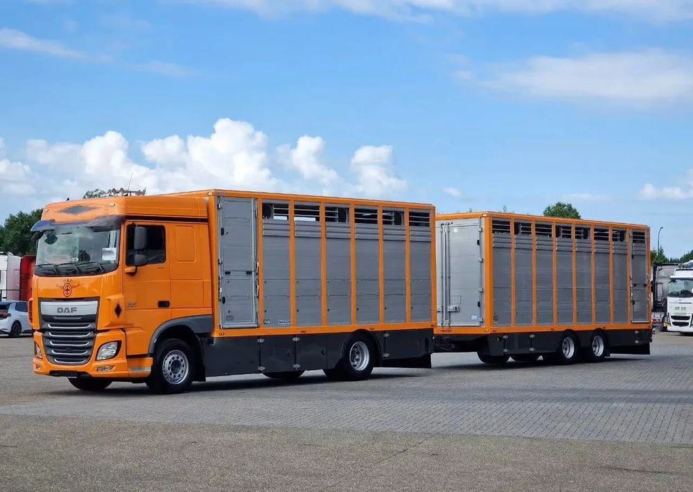 DAF XF 460 4x2 SpaceCab – Menke Livestock | 1 pokład | Euro 6 | 2016 - شاحنة نقل المواشي شاحنة: صور 1 DAF XF 460 4x2 SpaceCab – Menke Livestock | 1 pokład | Euro 6 | 2016 - شاحنة نقل المواشي شاحنة: صور 1