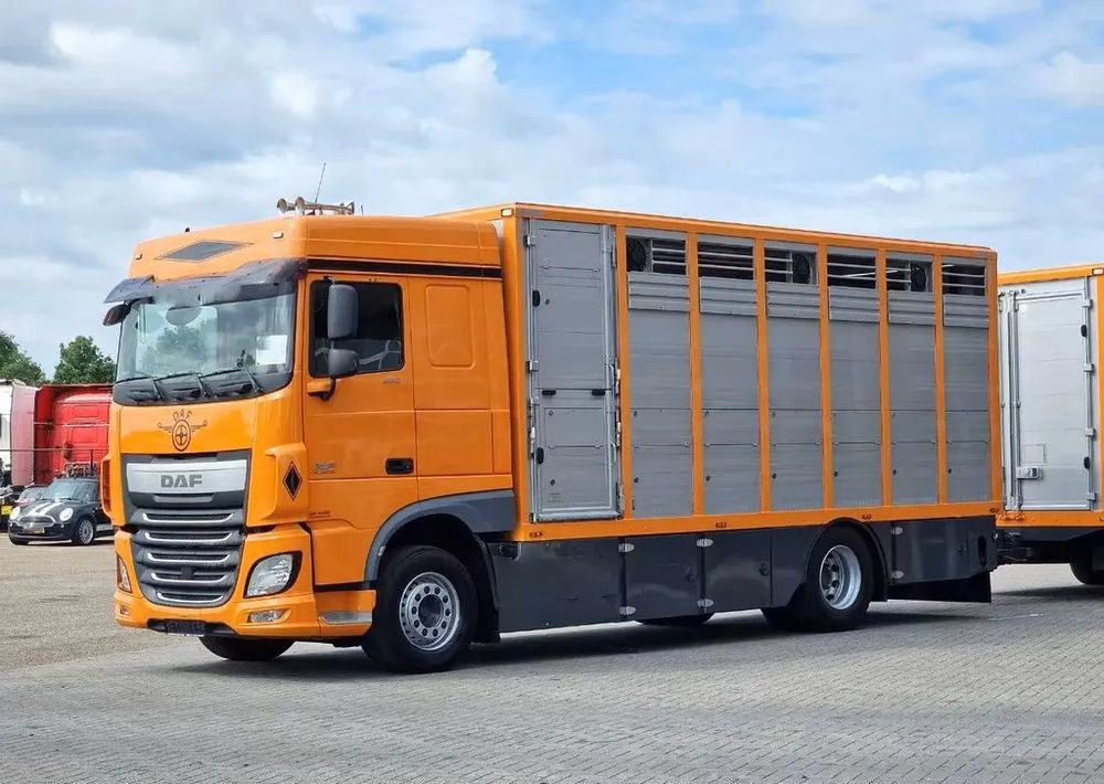 DAF XF 460 4x2 SpaceCab – Menke Livestock | 1 pokład | Euro 6 | 2016 - شاحنة نقل المواشي شاحنة: صور 2 DAF XF 460 4x2 SpaceCab – Menke Livestock | 1 pokład | Euro 6 | 2016 - شاحنة نقل المواشي شاحنة: صور 2