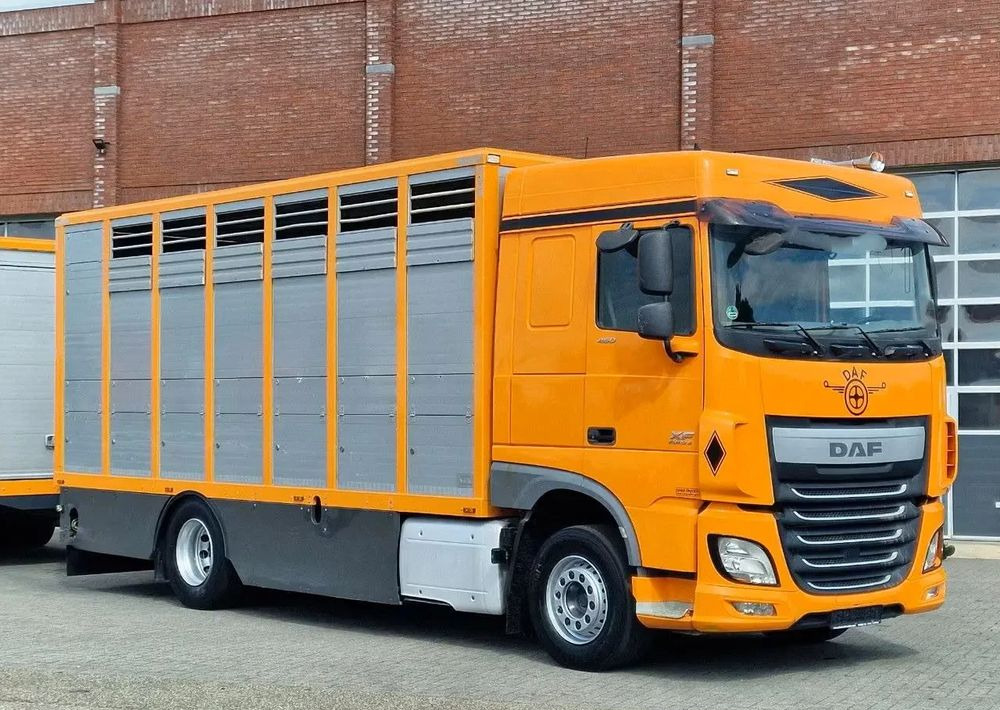 DAF XF 460 4x2 SpaceCab – Menke Livestock | 1 pokład | Euro 6 | 2016 - شاحنة نقل المواشي شاحنة: صور 4 DAF XF 460 4x2 SpaceCab – Menke Livestock | 1 pokład | Euro 6 | 2016 - شاحنة نقل المواشي شاحنة: صور 4