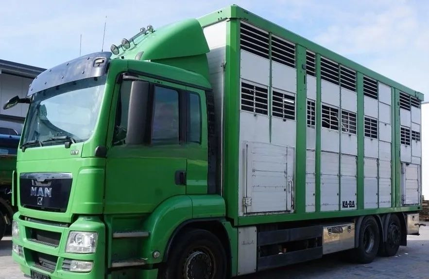 MAN TGS 26.440 ZABUDOWA KABA CAŁA ALUMINIOWA– samochód do transportu zwierząt/koni – 3 pokłady / EURO 5/6X2/PODNOSZONY DACH - شاحنة نقل المواشي شاحنة: صور 1 MAN TGS 26.440 ZABUDOWA KABA CAŁA ALUMINIOWA– samochód do transportu zwierząt/koni – 3 pokłady / EURO 5/6X2/PODNOSZONY DACH - شاحنة نقل المواشي شاحنة: صور 1