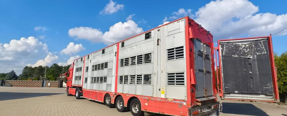 Pezzaioli 2017 / 3 POZIOMY / TRANSPORT ZWIERZĄT / HYDRAULIKA / STEROWANIE PILOTEM/ PODNOSZONY DACH / - شاحنة نقل المواشي نصف مقطورة: صور 1 Pezzaioli 2017 / 3 POZIOMY / TRANSPORT ZWIERZĄT / HYDRAULIKA / STEROWANIE PILOTEM/ PODNOSZONY DACH / - شاحنة نقل المواشي نصف مقطورة: صور 1