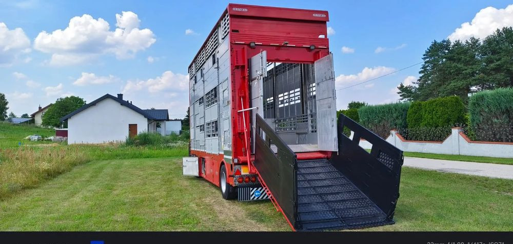 Pezzaioli RBA22 Dwuosiowa Przyczepa – 2x Bydło, 3x Trzoda – 2017r – Bezwypadkowa! - شاحنة نقل المواشي مقطورة: صور 1 Pezzaioli RBA22 Dwuosiowa Przyczepa – 2x Bydło, 3x Trzoda – 2017r – Bezwypadkowa! - شاحنة نقل المواشي مقطورة: صور 1