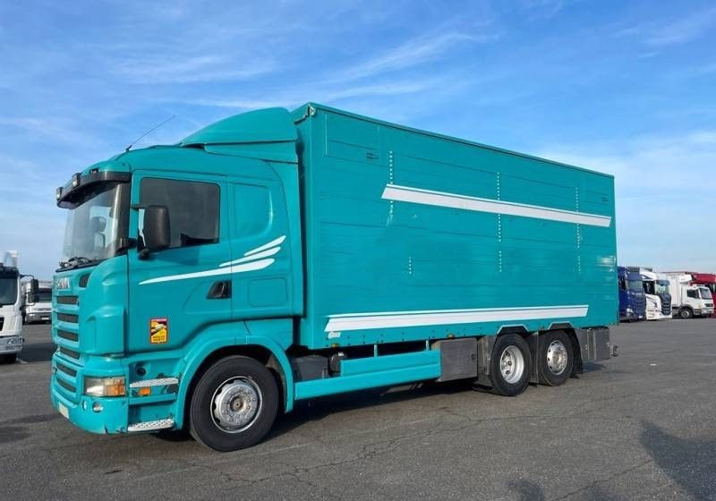 Scania R380 / 6x2 / Pezzaioli / 2-poziomowa zabudowa do przewozu zwierząt / Euro 3 / oś podnoszona / podnoszony dach - شاحنة نقل المواشي شاحنة: صور 1 Scania R380 / 6x2 / Pezzaioli / 2-poziomowa zabudowa do przewozu zwierząt / Euro 3 / oś podnoszona / podnoszony dach - شاحنة نقل المواشي شاحنة: صور 1
