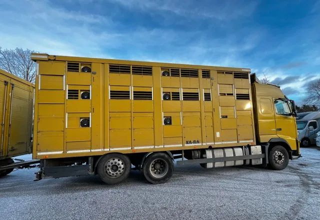 Volvo FH 420 • KABA • Transport Zwierząt 3xŚwinie/ 2xBydło 3-piętrowy • Euro 5 • Retarder • Oś podnoszona i skrętna - شاحنة نقل المواشي شاحنة: صور 2 Volvo FH 420 • KABA • Transport Zwierząt 3xŚwinie/ 2xBydło 3-piętrowy • Euro 5 • Retarder • Oś podnoszona i skrętna - شاحنة نقل المواشي شاحنة: صور 2
