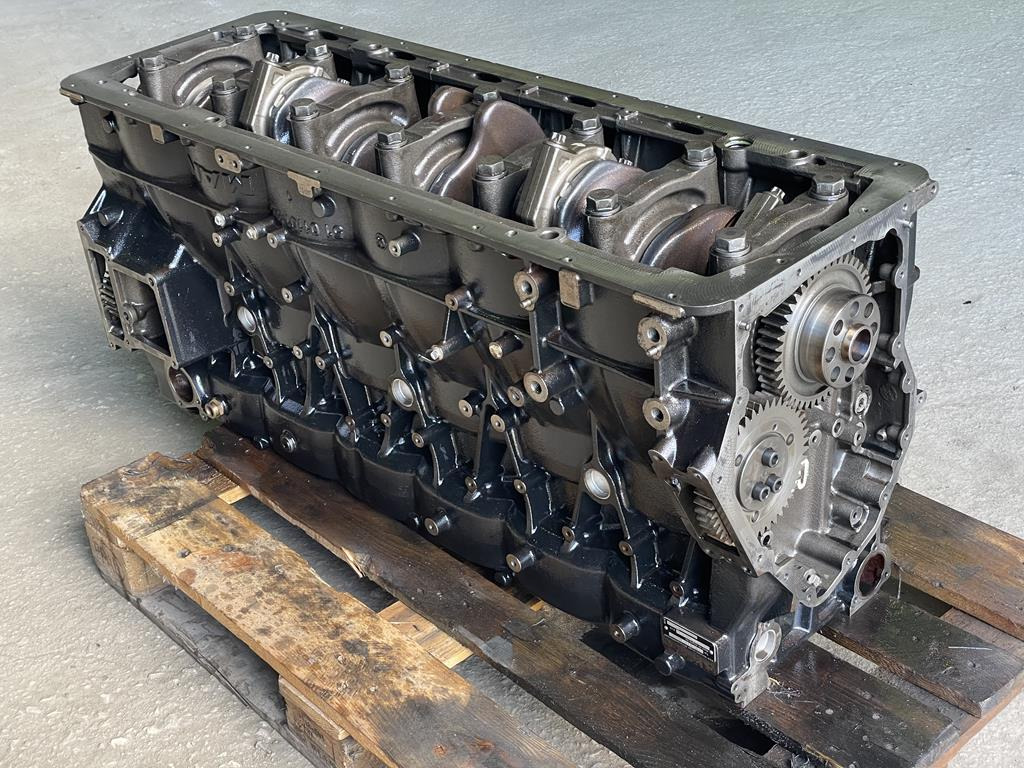 MAN TGX D3876 LF01 - EURO 6 - كتلة اسطوانة - شاحنة: صور 5 MAN TGX D3876 LF01 - EURO 6 - كتلة اسطوانة - شاحنة: صور 5