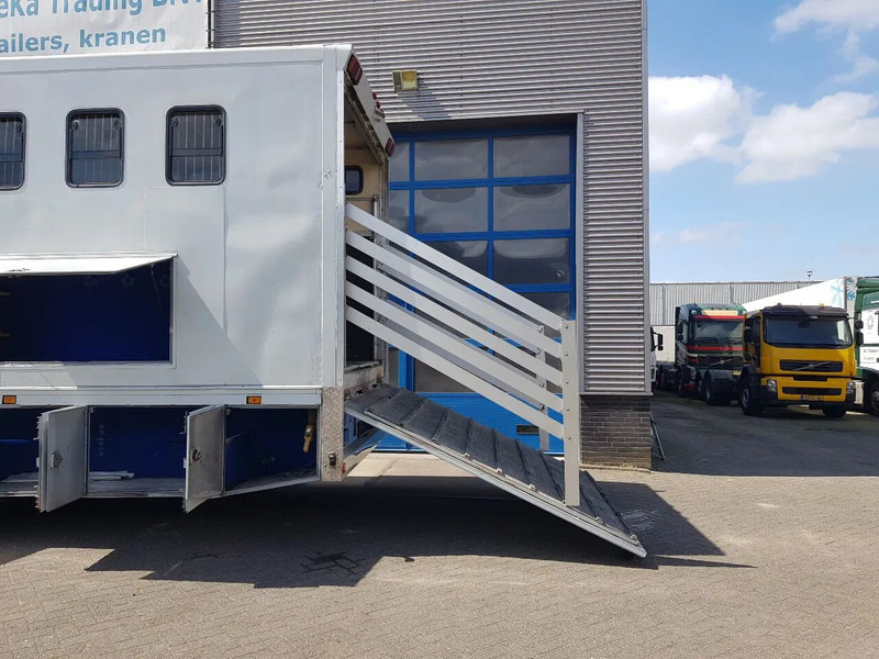 DAF 95.350 Paardenwagen met zitverblijf 7 paarden 7 horses - شاحنة نقل خيل: صور 5 DAF 95.350 Paardenwagen met zitverblijf 7 paarden 7 horses - شاحنة نقل خيل: صور 5