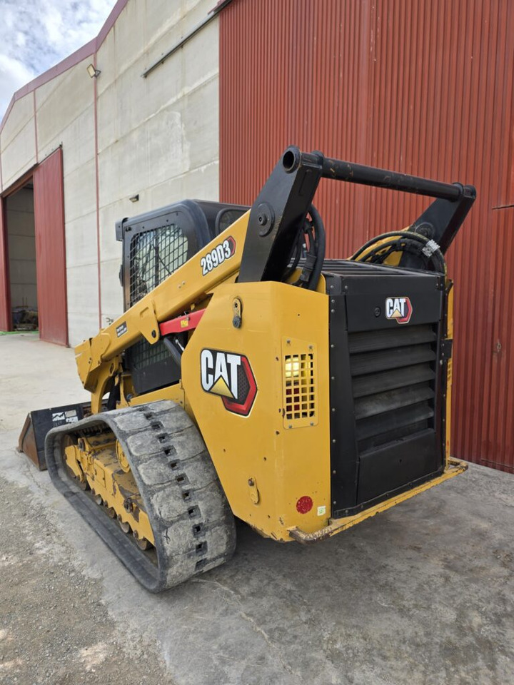 CAT 289D3 ALTO CAUDAL - شيول صغير: صور 3 CAT 289D3 ALTO CAUDAL - شيول صغير: صور 3