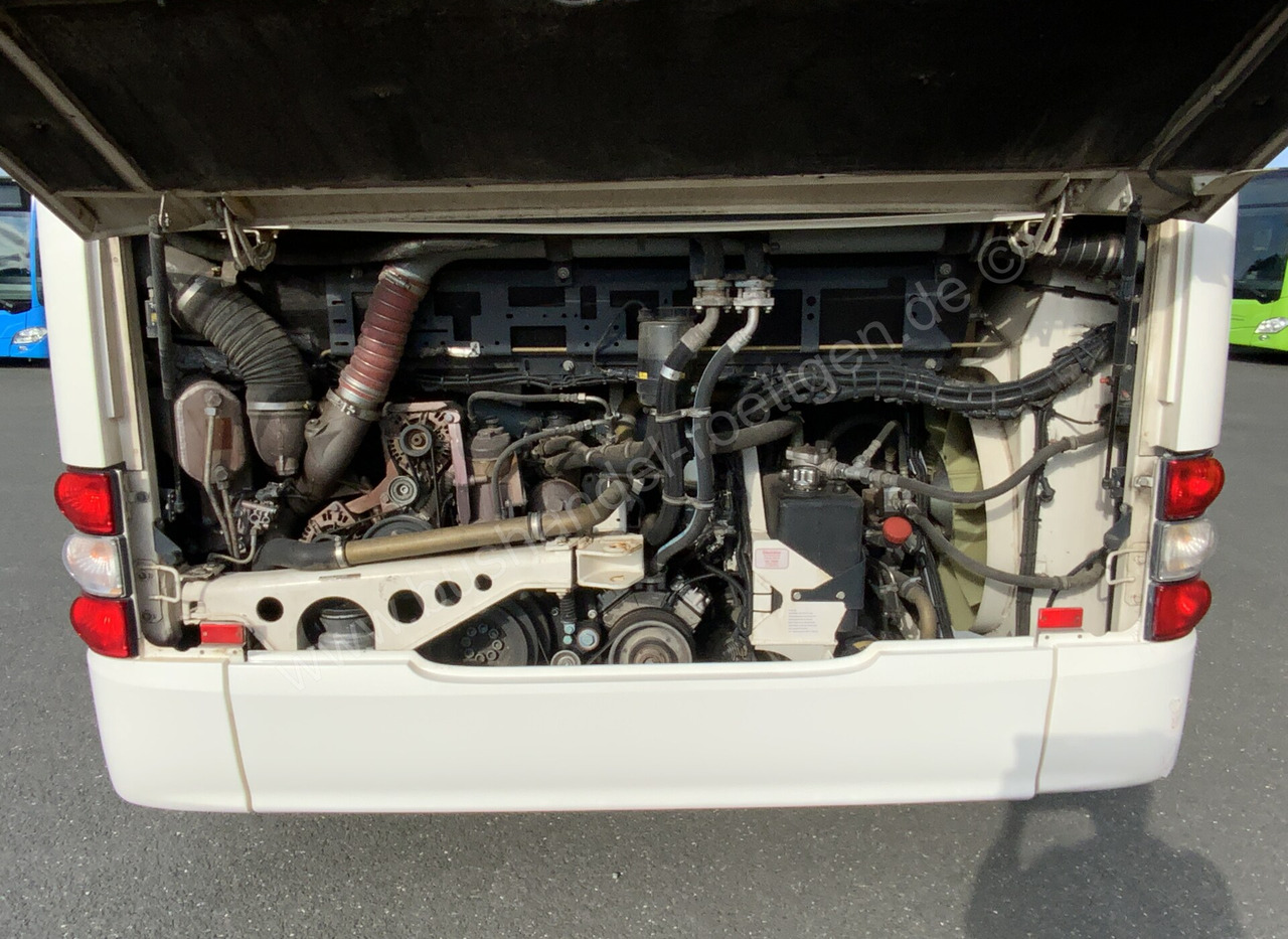 النقل الحضري MAN A 21: صور 9 النقل الحضري MAN A 21: صور 9