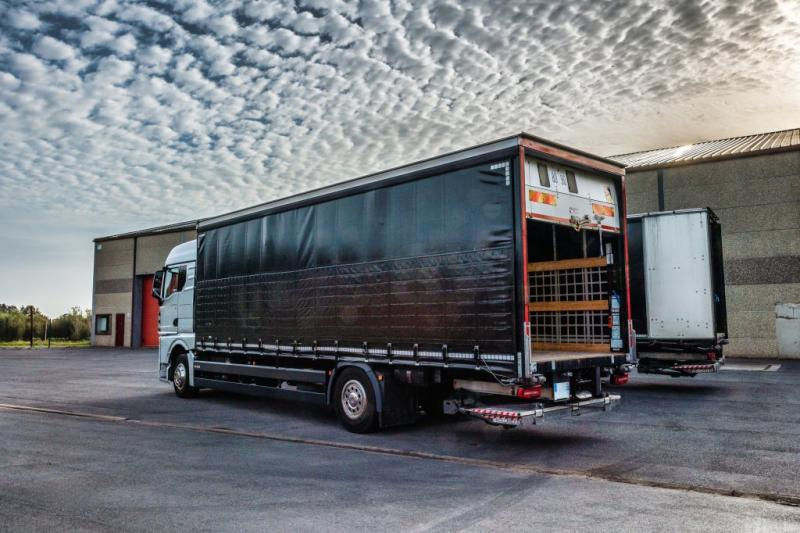 MAN TGX 18.400 XLX+HAYON - شاحنة ستارة: صور 4 MAN TGX 18.400 XLX+HAYON - شاحنة ستارة: صور 4