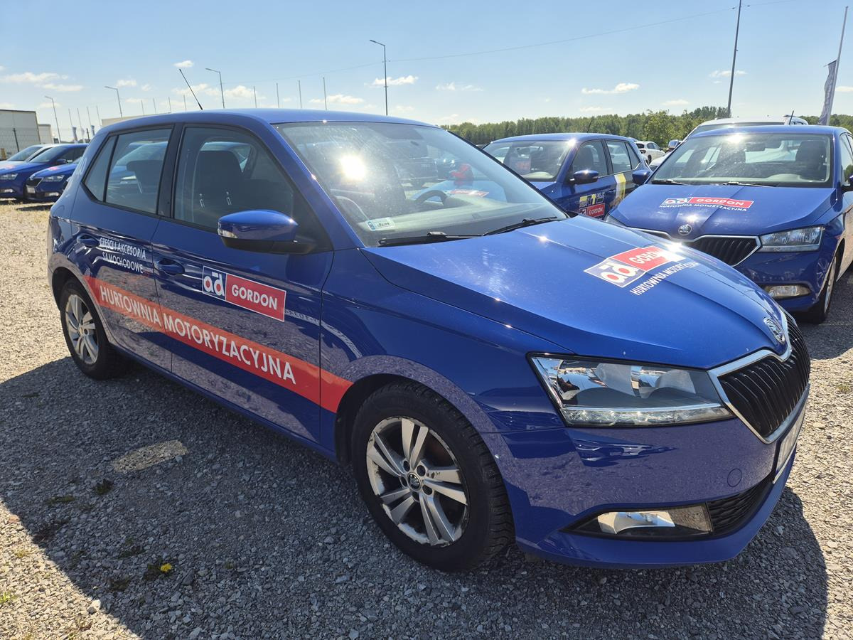 هاتشباك SKODA FABIA HATCHBACK: صور 1