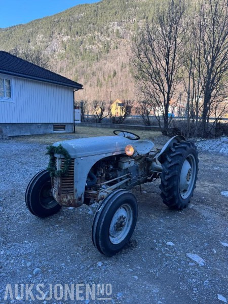 Massey Ferguson TE20 - جرار: صور 1 Massey Ferguson TE20 - جرار: صور 1