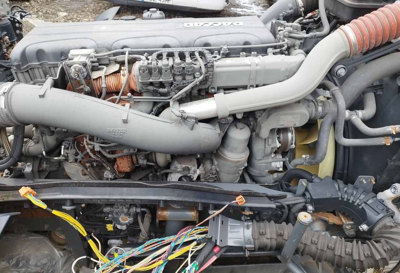 DAF MX-11 320 H1 DAF XF, CF, IRIZAR i8, IRIZAR i4 - المحرك - شاحنة: صور 2 DAF MX-11 320 H1 DAF XF, CF, IRIZAR i8, IRIZAR i4 - المحرك - شاحنة: صور 2