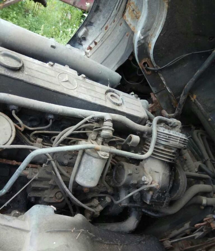 Mercedes-Benz OM366 170 E2 Mercedes-Benz - المحرك - شاحنة: صور 1 Mercedes-Benz OM366 170 E2 Mercedes-Benz - المحرك - شاحنة: صور 1