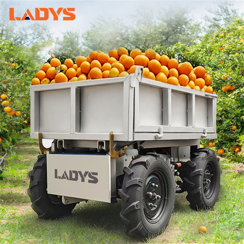 LADYS All-Terrain Four-Wheel Drive And Eight-Wheel Drive Transport Truck, Mountain Area Farm Orchard Greenhouse Construction Site Creeper Remote Control Electric Agricultural Transport Vehicle - اتفس: صور 1 LADYS All-Terrain Four-Wheel Drive And Eight-Wheel Drive Transport Truck, Mountain Area Farm Orchard Greenhouse Construction Site Creeper Remote Control Electric Agricultural Transport Vehicle - اتفس: صور 1