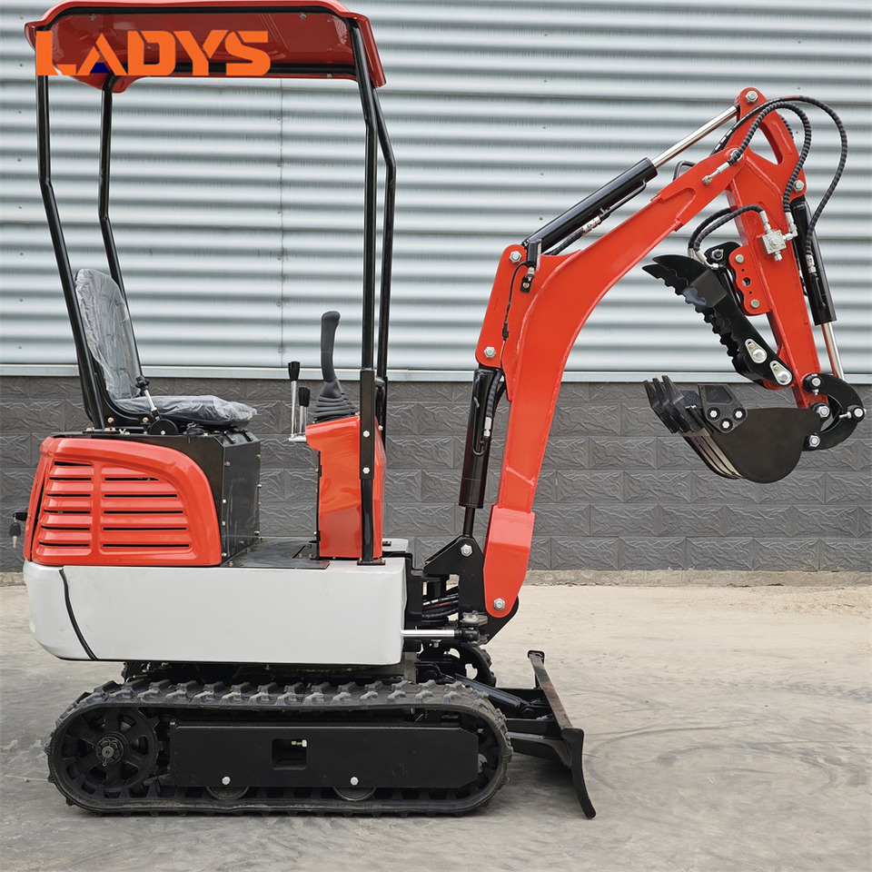 LADYS DY12Pro Mini Excavator CE Certification Kubota Engine(Factory Outlet) Mini Pelle Minibagger Minikoparka Miniexcavadora - حفارة مصغرة: صور 1 LADYS DY12Pro Mini Excavator CE Certification Kubota Engine(Factory Outlet) Mini Pelle Minibagger Minikoparka Miniexcavadora - حفارة مصغرة: صور 1