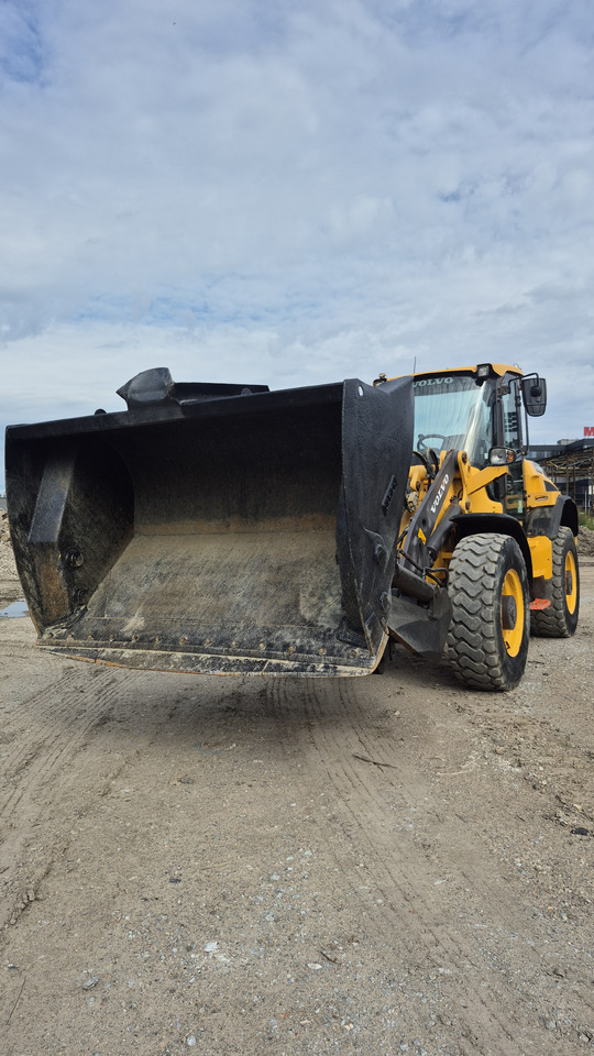 VOLVO L45H - اللودر بعجل: صور 3 VOLVO L45H - اللودر بعجل: صور 3