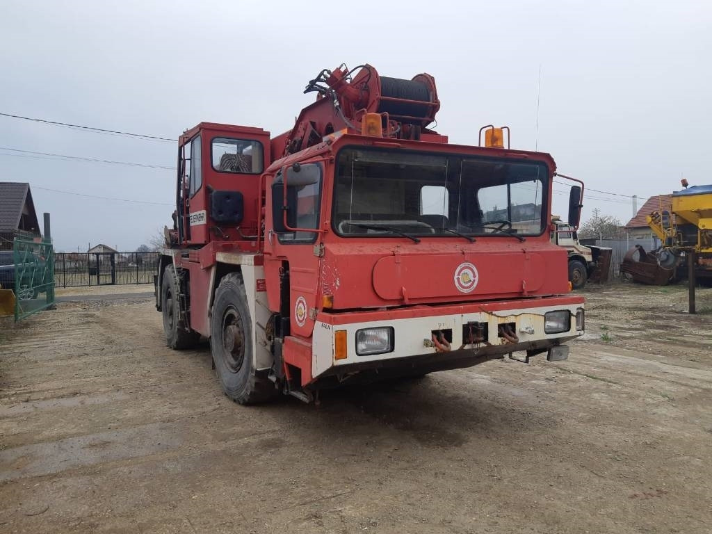 Faun RTF30 - رافعة لجميع التضاريس: صور 2 Faun RTF30 - رافعة لجميع التضاريس: صور 2