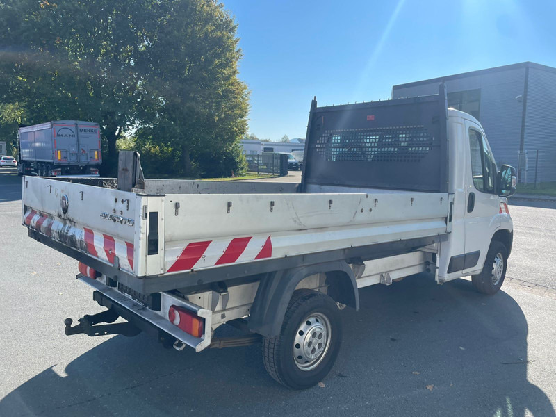 Fiat Ducato - الشاحنات الصغيرة المسطحة: صور 4 Fiat Ducato - الشاحنات الصغيرة المسطحة: صور 4